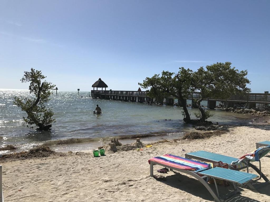 Tropical Daze Oceanfront Paradise 塔维涅 外观 照片